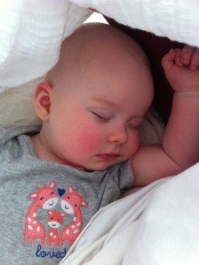 It's so comfortable in Mommy's lap & Mommy doesn't have anything she needs to do anyhow, right?